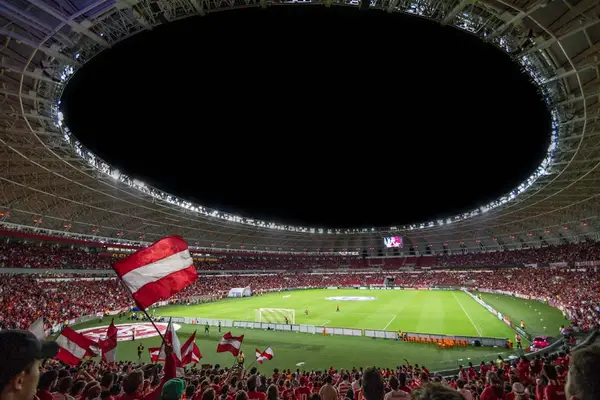 Crowd cheering during a night sports game
