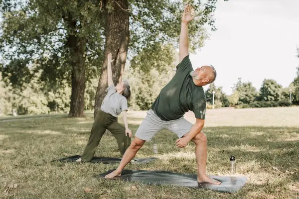 An elderly couple enjoying a day in the park together