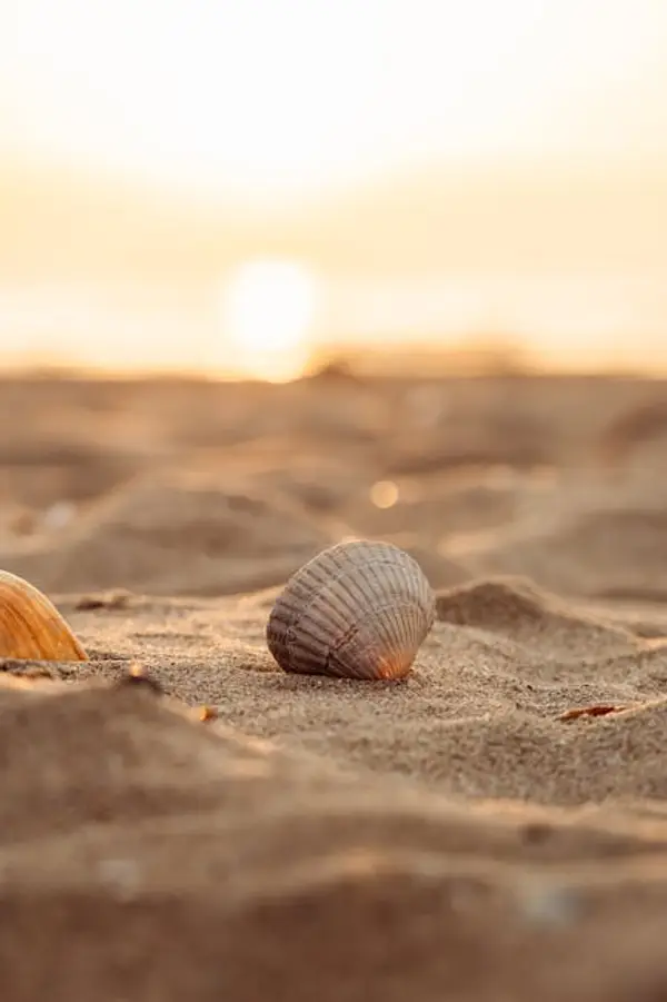 A picturesque beach during sunset