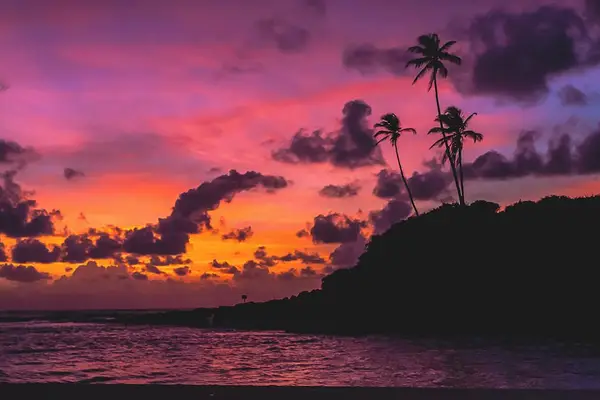 sunset over a beach with palm trees